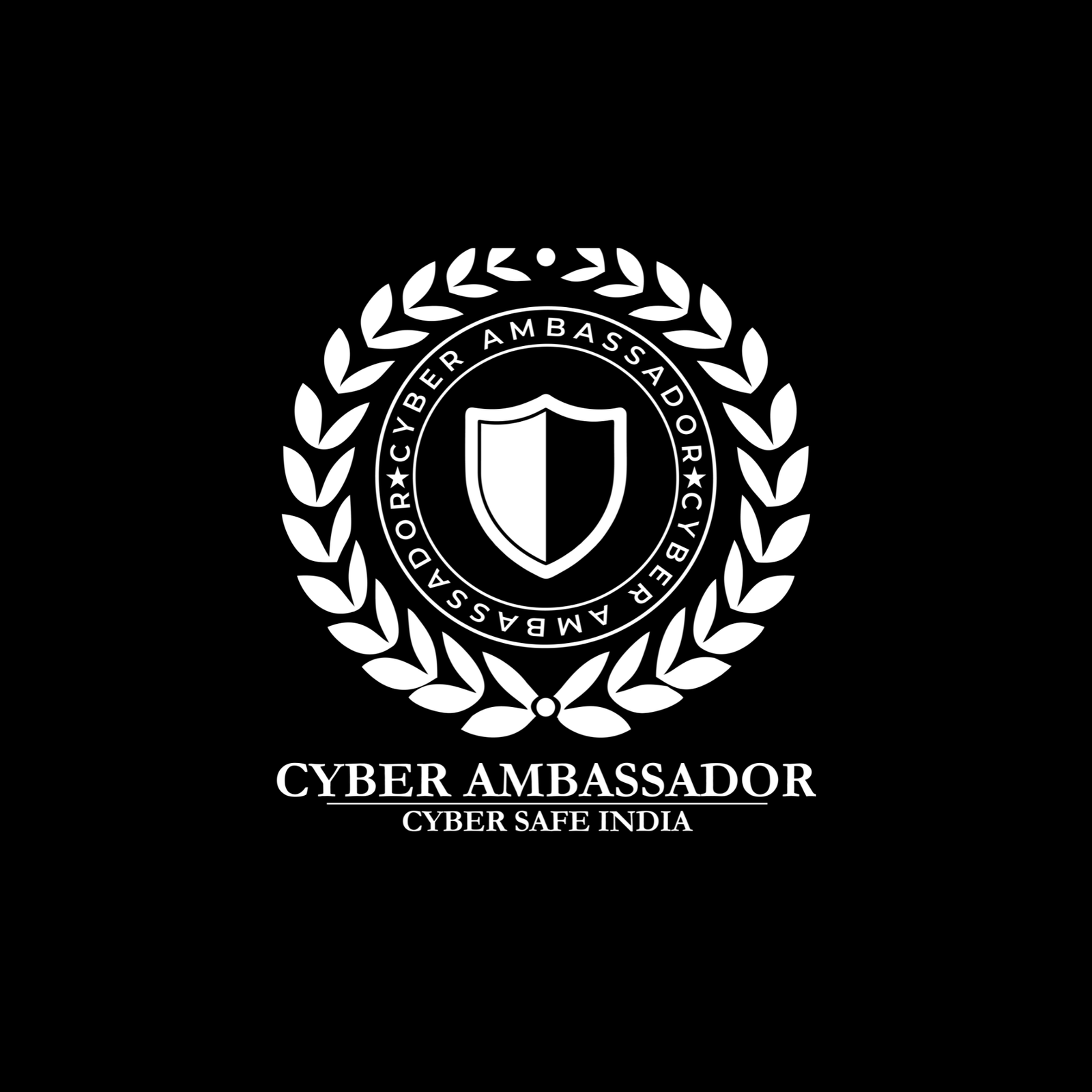 Cyber ambassador